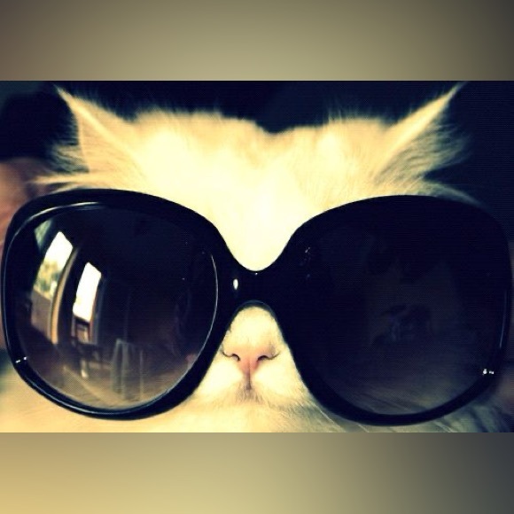 chellsyg